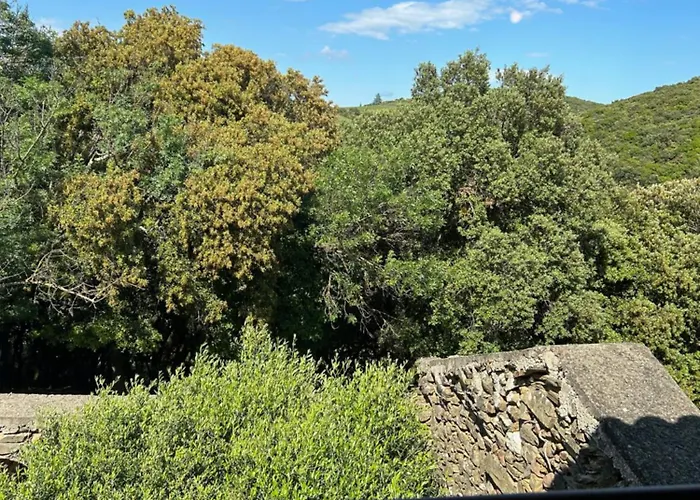 Mas Nicolas * Cabrerolles